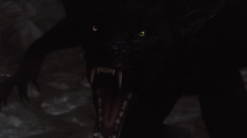Skyrim Werewolf Eyes Multicolored